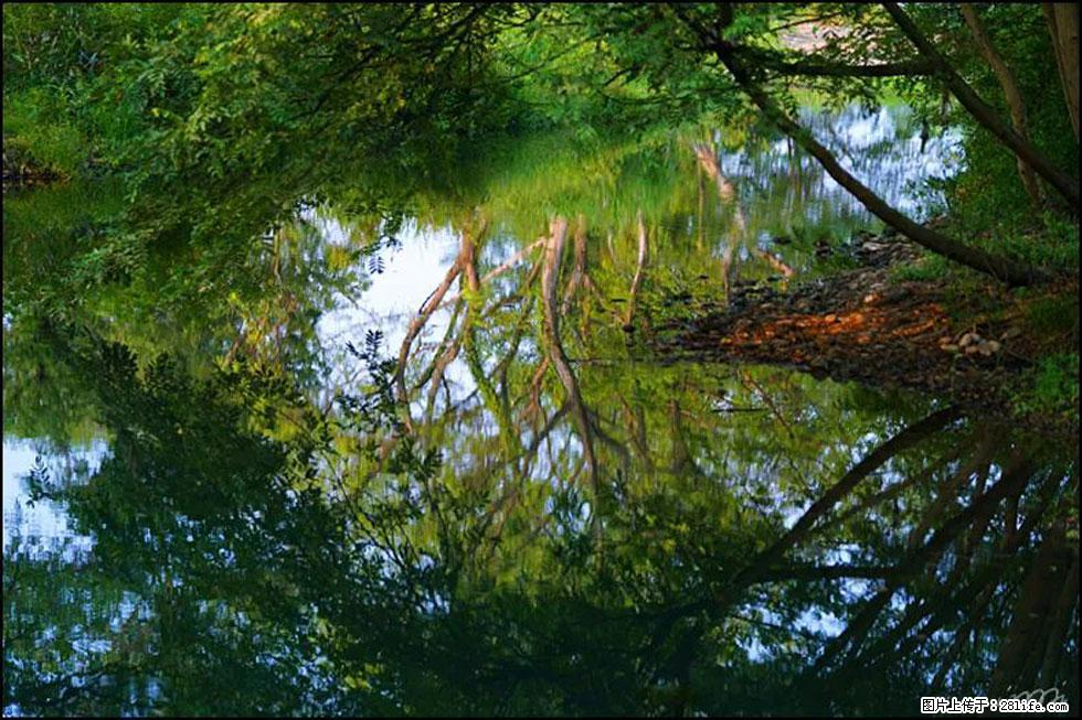 【春天,广西桂林灌阳县向您发出邀请!】熊家寨湿地公园 - 游山玩水 - 衢州生活社区 - 衢州28生活网 quzhou.28life.com