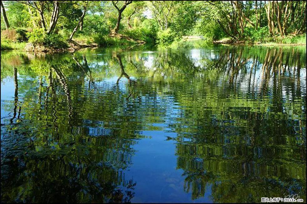 【春天,广西桂林灌阳县向您发出邀请!】熊家寨湿地公园 - 游山玩水 - 衢州生活社区 - 衢州28生活网 quzhou.28life.com