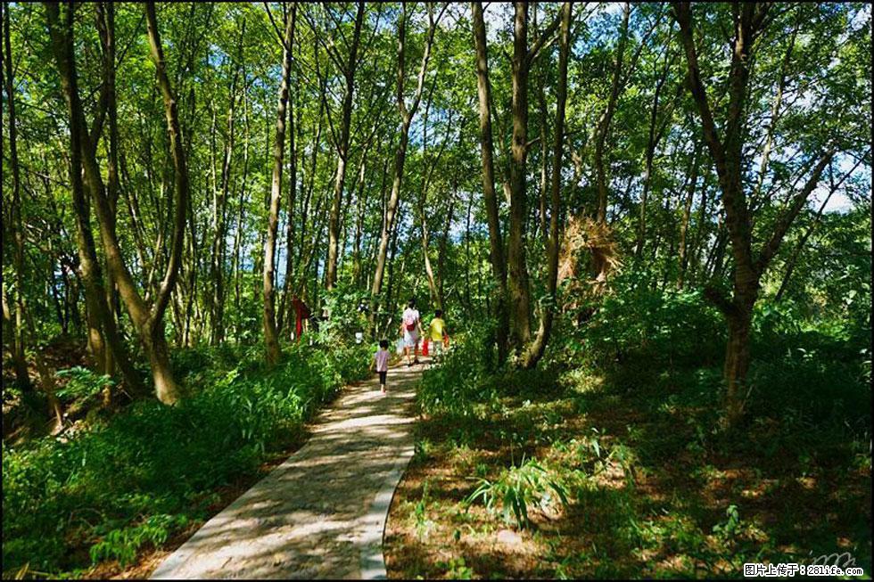 【春天,广西桂林灌阳县向您发出邀请!】熊家寨湿地公园 - 游山玩水 - 衢州生活社区 - 衢州28生活网 quzhou.28life.com