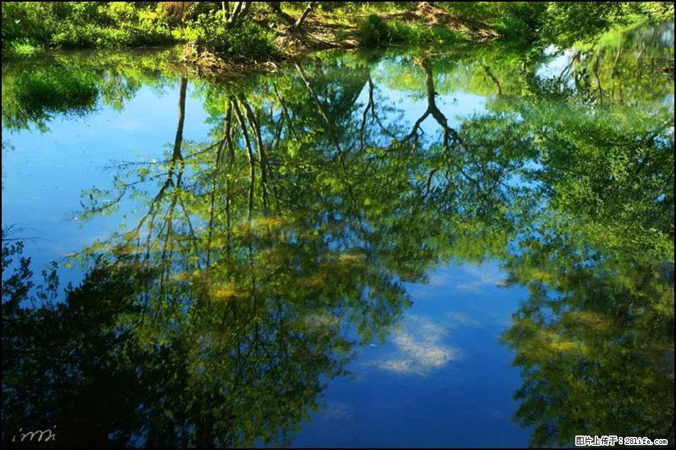 【春天,广西桂林灌阳县向您发出邀请!】熊家寨湿地公园 - 游山玩水 - 衢州生活社区 - 衢州28生活网 quzhou.28life.com
