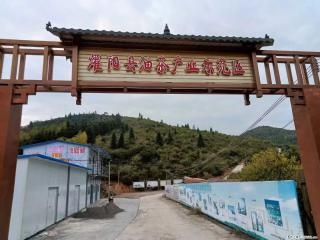 【灌阳县油茶产业示范区】一个有着充实的精神生活的人,对待身外之物自会有一种淡泊的态度 - 衢州28生活网 quzhou.28life.com