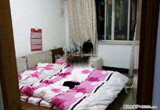 城南 荷花东区 精装2房 家电齐全 大润发 中医院 安居小区 - 衢州28生活网 quzhou.28life.com
