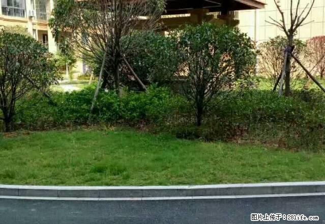 府东街消防队宿舍4楼90平方设备齐全租金1800元/月半年付 - 房屋出租 - 房屋租售 - 衢州分类信息 - 衢州28生活网 quzhou.28life.com