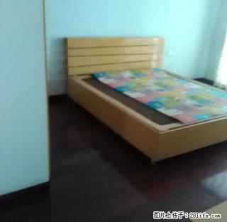 兴华中学附近单间带卫,月租:500元,半年付 - 衢州28生活网 quzhou.28life.com