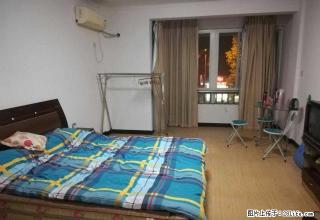 房子急出租 111 精装修 随时看房 - 衢州28生活网 quzhou.28life.com