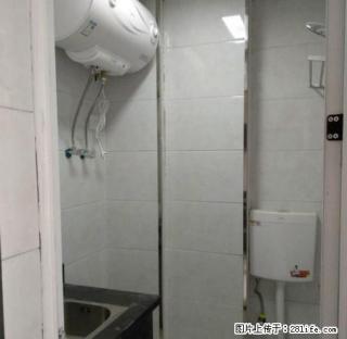 市中心可短租的单身公寓（阁楼），全新装修 - 衢州28生活网 quzhou.28life.com