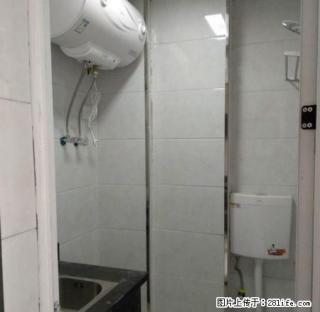 市中心可短租的单身公寓(阁楼),全新装修 - 衢州28生活网 quzhou.28life.com