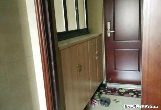 西区春江月小区,3房出租,房东全新装修,拎包入住 - 衢州28生活网 quzhou.28life.com