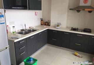 丽晶雅苑6楼,4/2/2,精装,家电齐全,2500/月 - 衢州28生活网 quzhou.28life.com