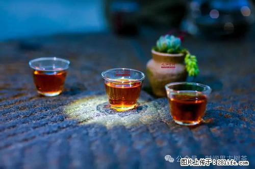 时间果百年古树2025年春红茶 - 购物交流 - 衢州生活社区 - 衢州28生活网 quzhou.28life.com