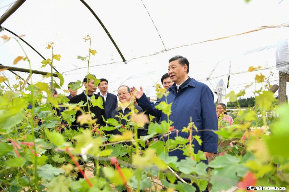 习近平赴广西考察调研 - 衢州生活资讯 - 衢州28生活网 quzhou.28life.com