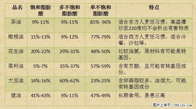 揭秘茶油的5大核心营养成分!被称为人体健康的“守护盾”! - 衢州生活资讯 - 衢州28生活网 quzhou.28life.com