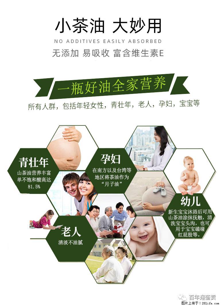 世界没有真相,只有认知,最好的食用油是中国的山茶油! - 衢州生活资讯 - 衢州28生活网 quzhou.28life.com