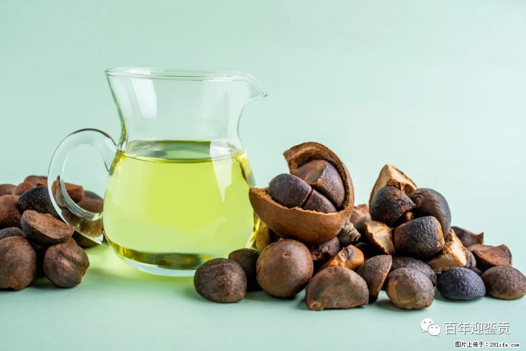 世界没有真相,只有认知,最好的食用油是中国的山茶油! - 衢州生活资讯 - 衢州28生活网 quzhou.28life.com