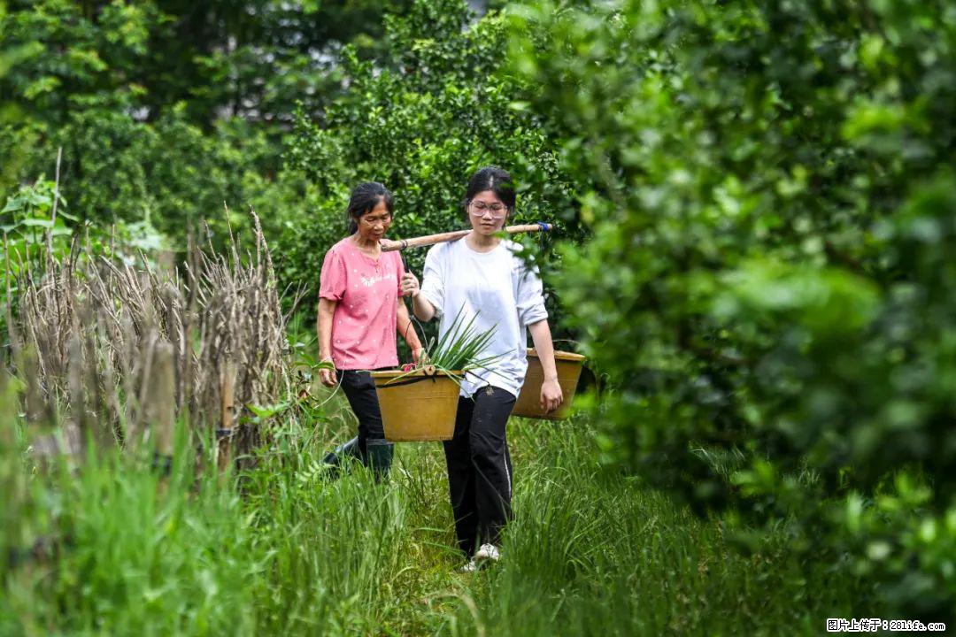 全网追的“扁担女孩”,找了一份暑假工,时薪12元 - 衢州生活资讯 - 衢州28生活网 quzhou.28life.com