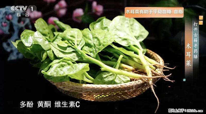 比牛奶补钙还厉害！凉血解毒、稳血糖...这菜冬天必吃，很多人却当草 - 衢州生活资讯 - 衢州28生活网 quzhou.28life.com