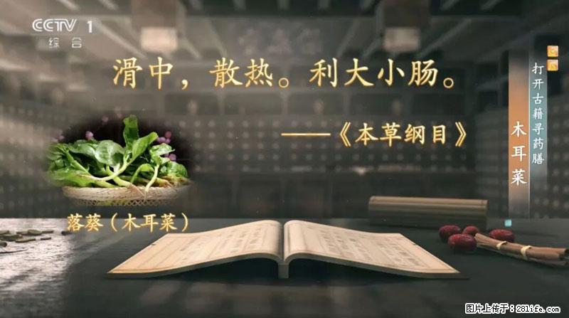 比牛奶补钙还厉害！凉血解毒、稳血糖...这菜冬天必吃，很多人却当草 - 衢州生活资讯 - 衢州28生活网 quzhou.28life.com