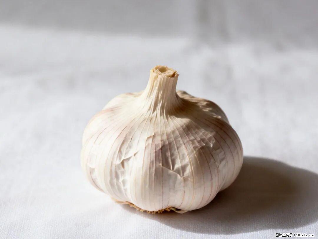 关于大蒜,除了“天然抗生素”,这4个谣言更该警惕! - 衢州生活资讯 - 衢州28生活网 quzhou.28life.com