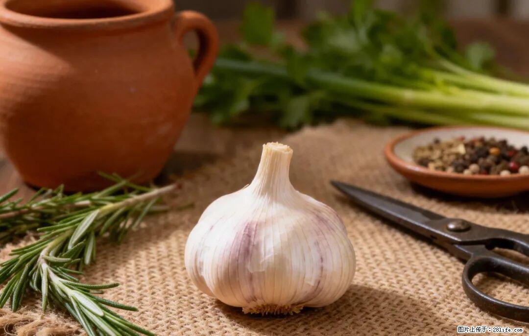 关于大蒜,除了“天然抗生素”,这4个谣言更该警惕! - 衢州生活资讯 - 衢州28生活网 quzhou.28life.com