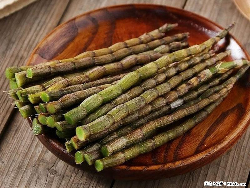 铁皮石斛的作用与功能主治 - 衢州生活资讯 - 衢州28生活网 quzhou.28life.com