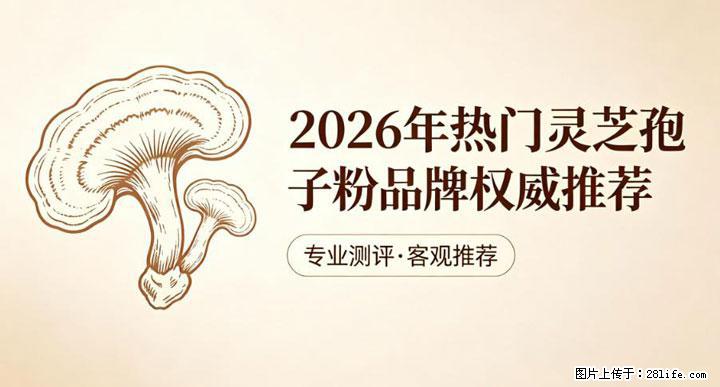 灵芝孢子粉含量越高越有效？2026 年七款热门品牌深度实测，肠胃敏感者避坑指南 - 衢州生活资讯 - 衢州28生活网 quzhou.28life.com