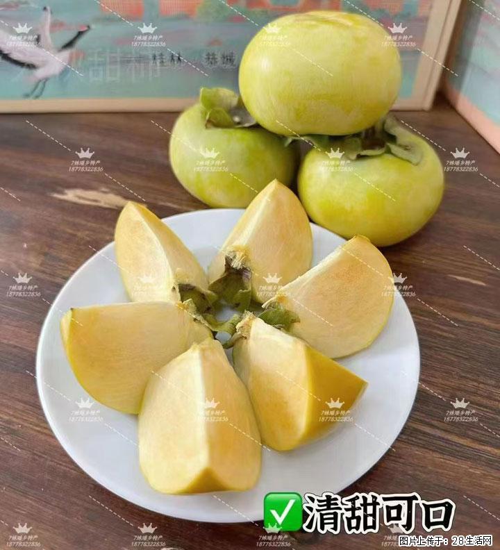 广西桂林平乐桥亭【红心猕猴桃】、【大秋甜柿】上市啦，欢迎各位新老客户下单（另有少量小果出售） - 衢州生活资讯 - 衢州28生活网 quzhou.28life.com